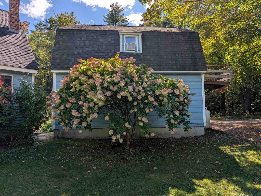 Photo of 101 Shingle Camp Hill Road, New Hampton, NH 03256 (MLS # 5112065)