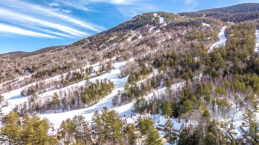 Photo of 13 Mountainside At Attitash Road, Bartlett, NH 03812 (MLS # 5112483)