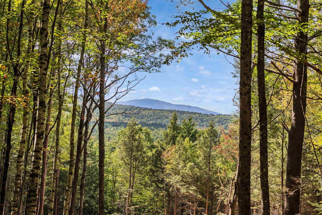 Photo of 00 Coach Road, Greenfield, NH 03047 (MLS # 5111330)