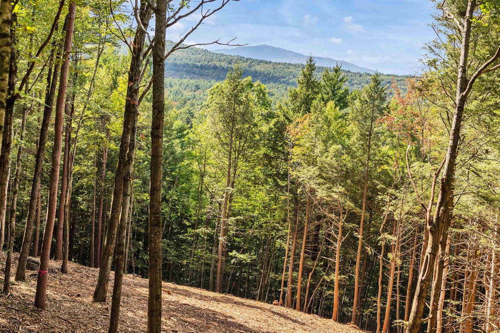 Photo of 00 Coach Road, Greenfield, NH 03047 (MLS # 5111330)