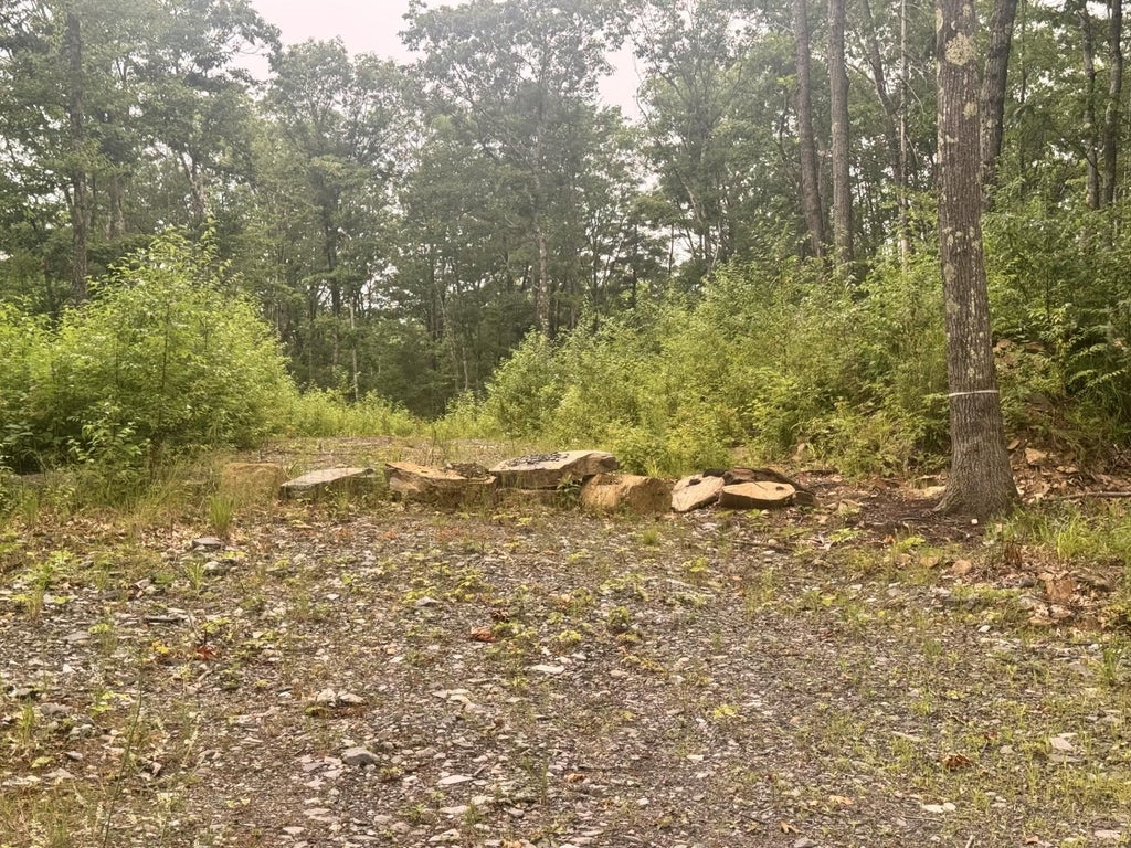 Photo of 113 Farm Road, Surry, NH 03431 (MLS # 5107016)