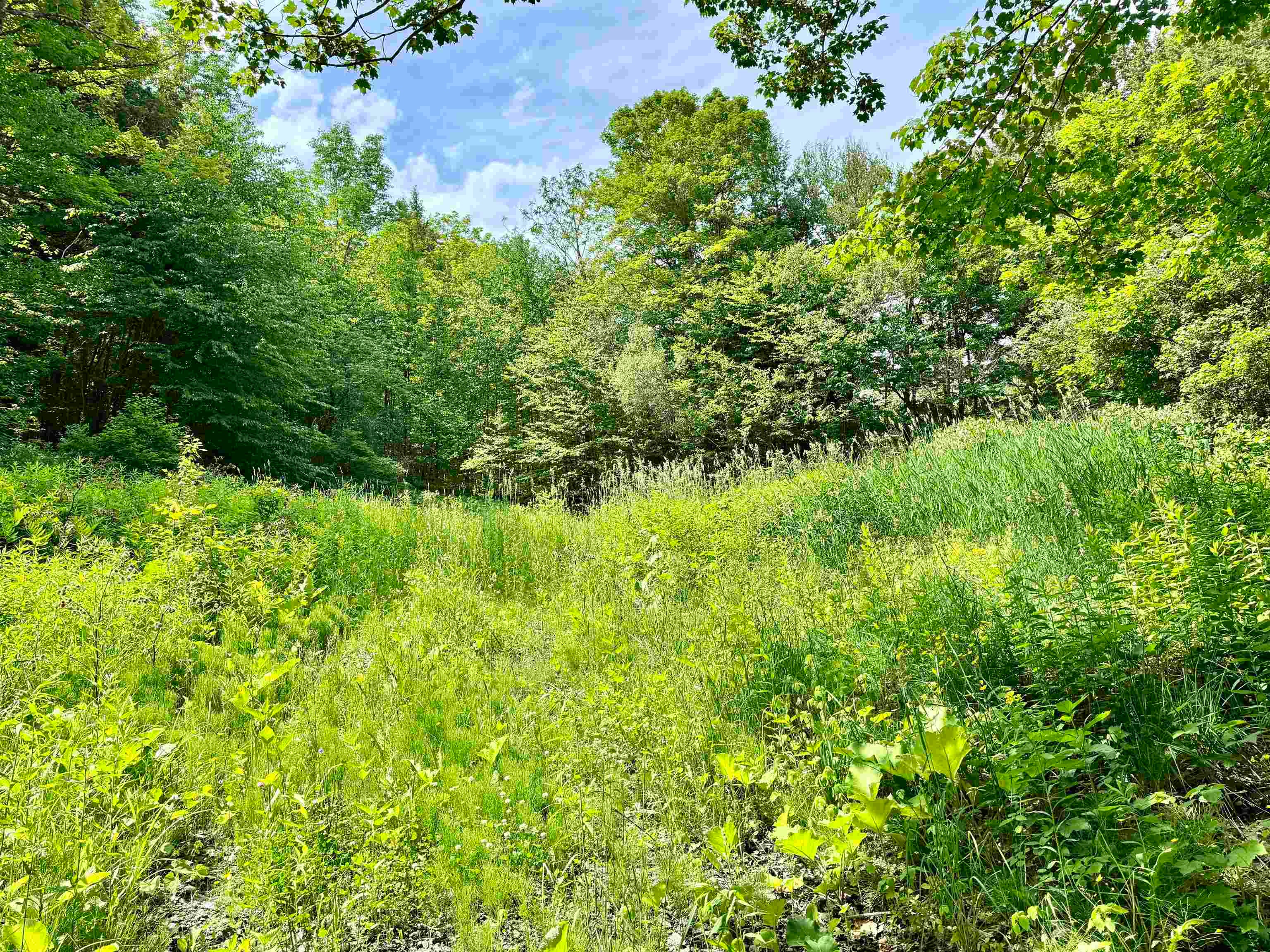 62 Foundry Road