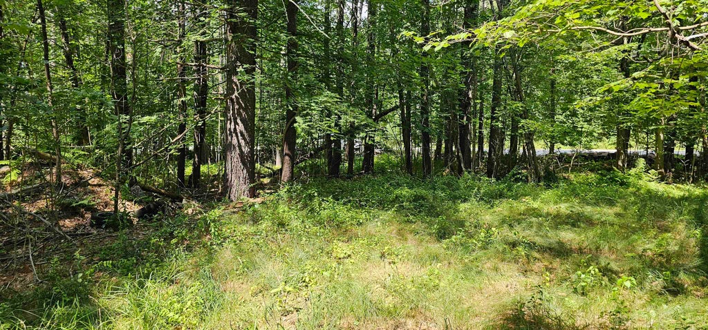 Photo of 492 Moultonboro Neck Road, Moultonborough, NH 03254 (MLS # 5101023)