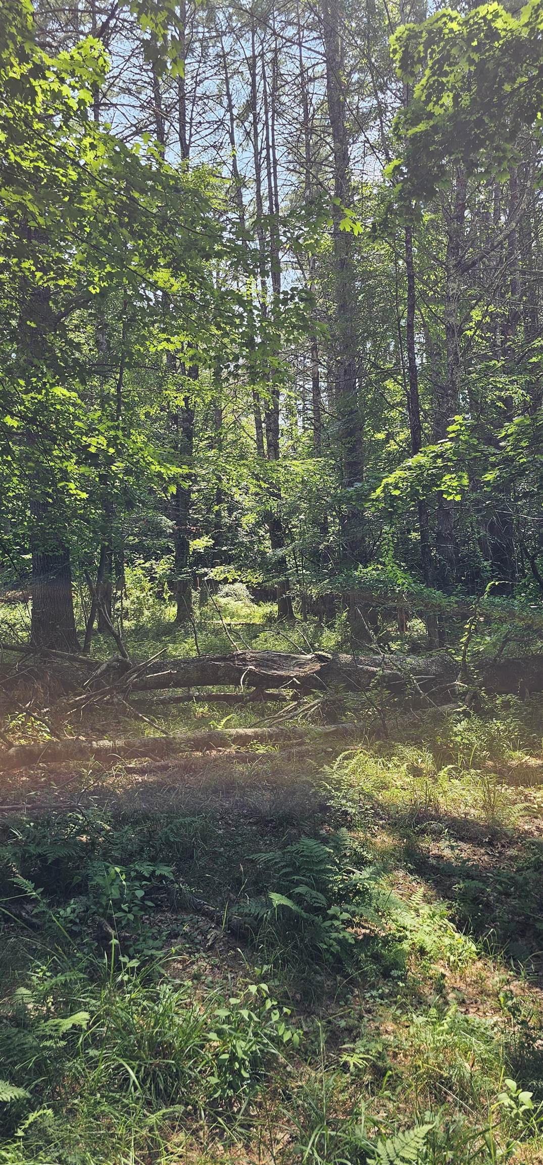 492 Moultonboro Neck Road