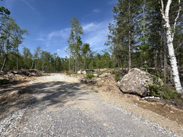 Old Coach Road