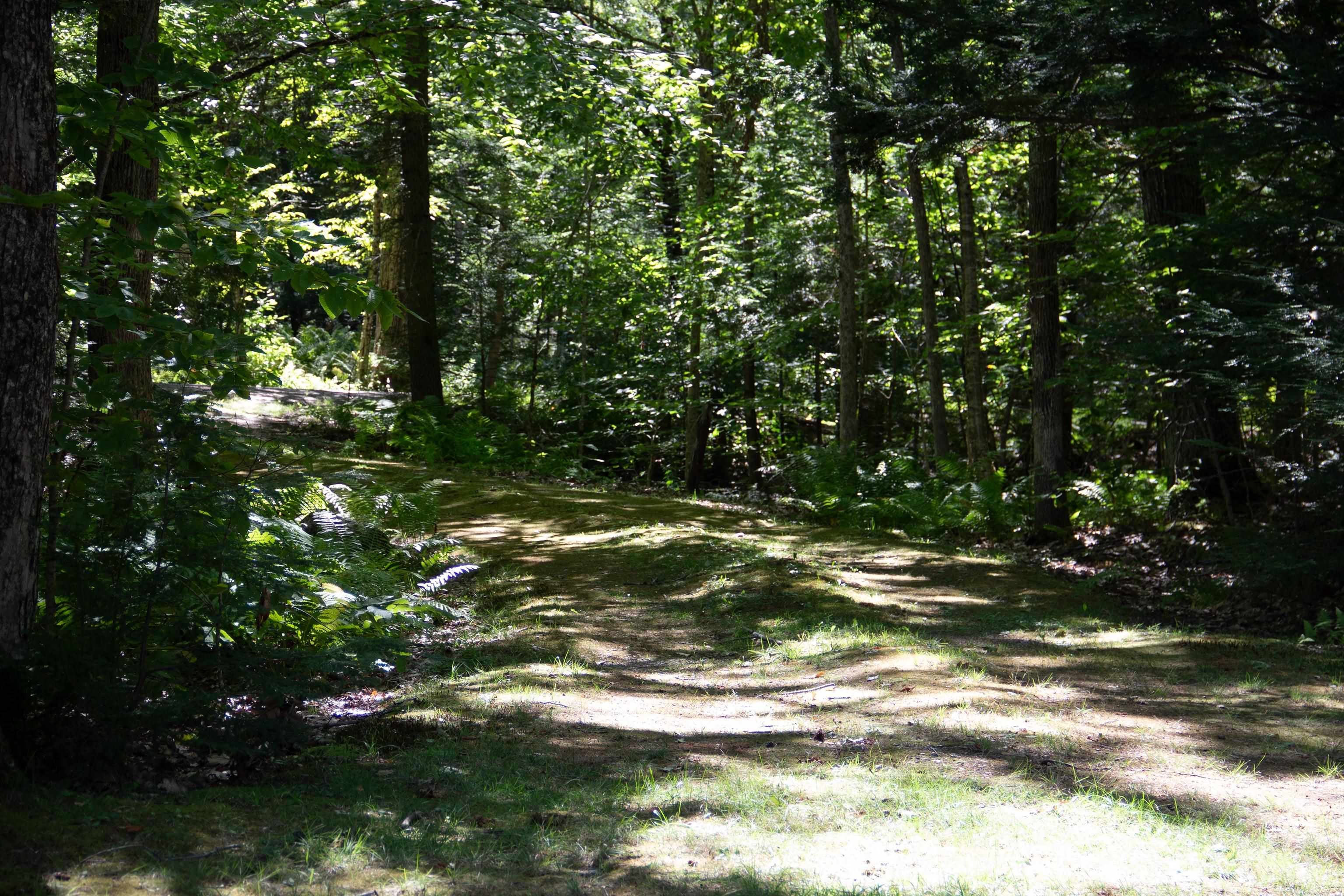 81 Buzzell Cove Road