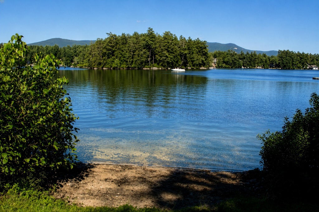 Photo of 81 Buzzell Cove Road, Moultonborough, NH 03254 (MLS # 5108000)
