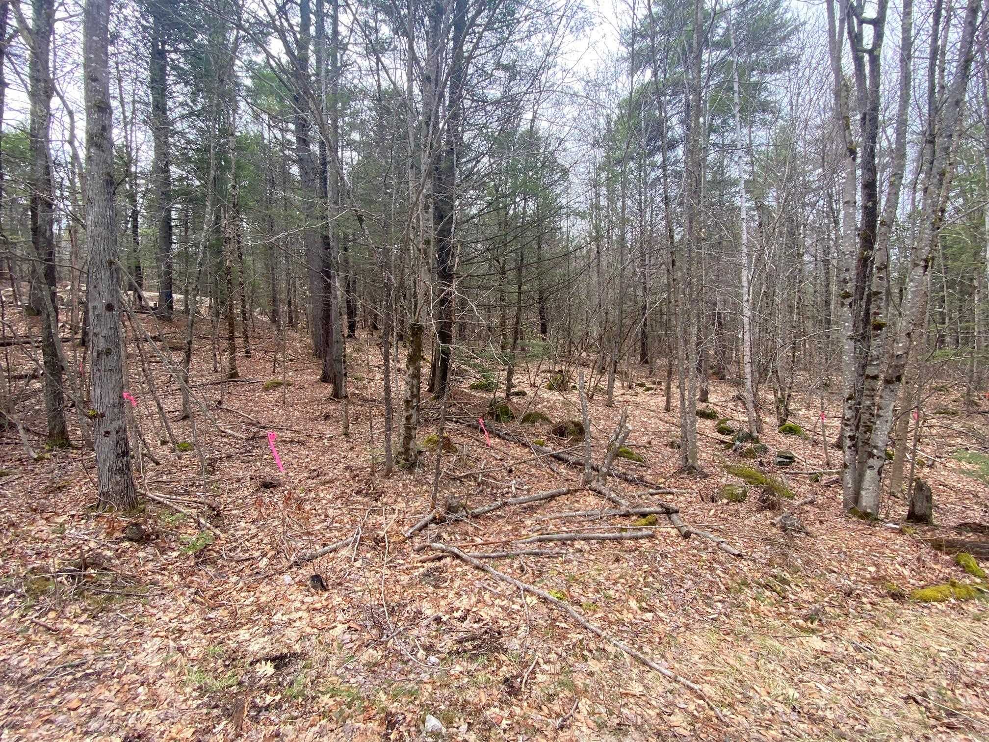 00 Winnipesaukee Drive