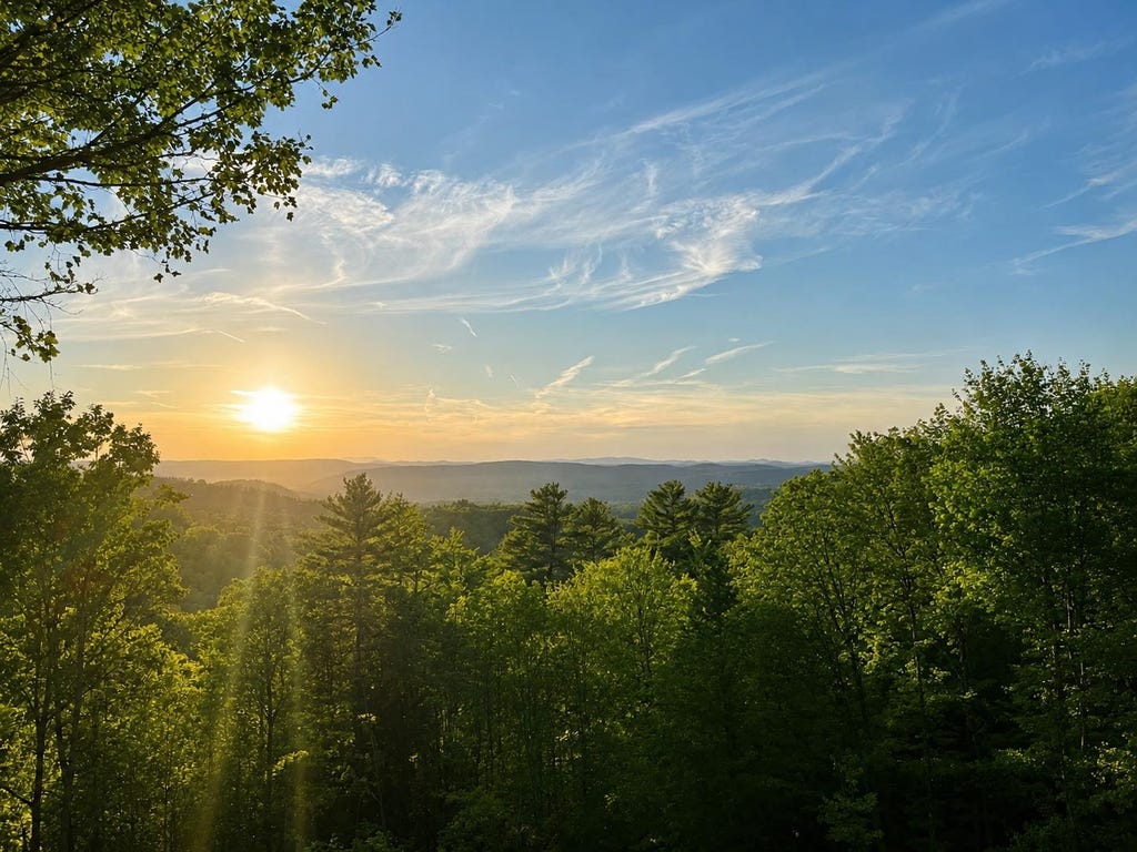 Photo of 43 Cook Hill Road, Alstead, NH 03602 (MLS # 5105709)