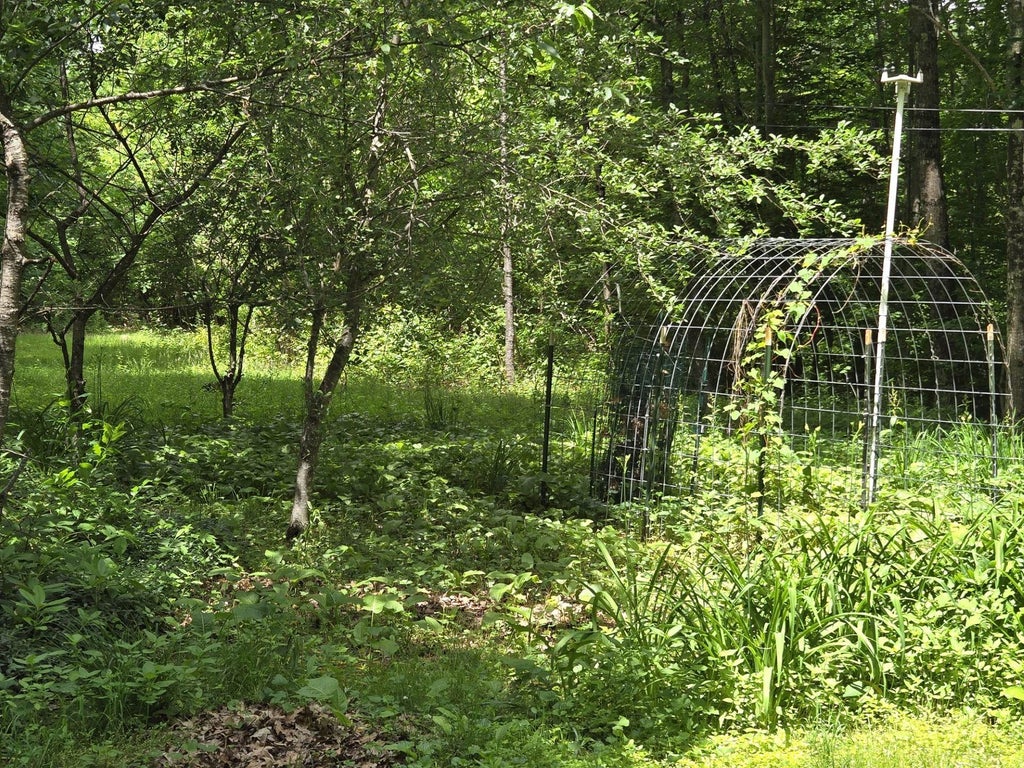 Photo of 208 NH Route 3A, Hill, NH 03243 (MLS # 5099472)