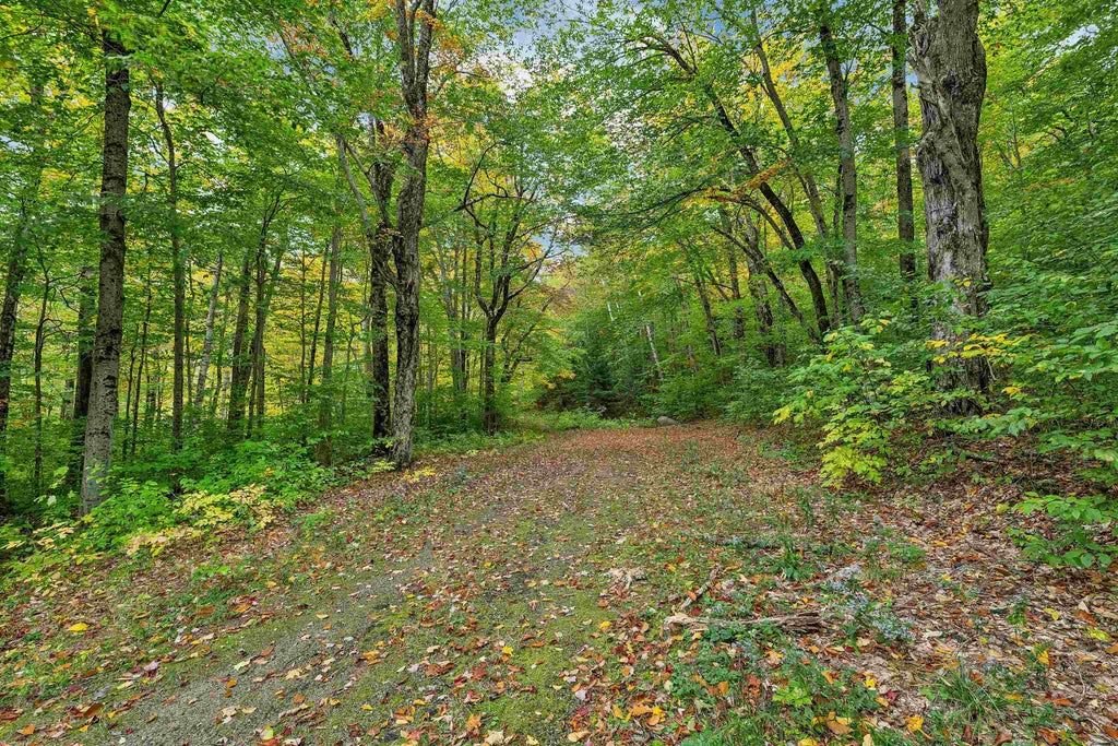 Photo of 1071 US-302 #36, Harts Location, NH 03812 (MLS # 5113789)