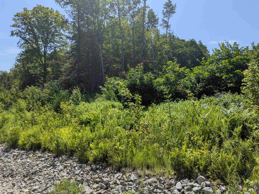 Photo of 1 Boulder Point Drive, Plymouth, NH 03264 (MLS # 5100958)