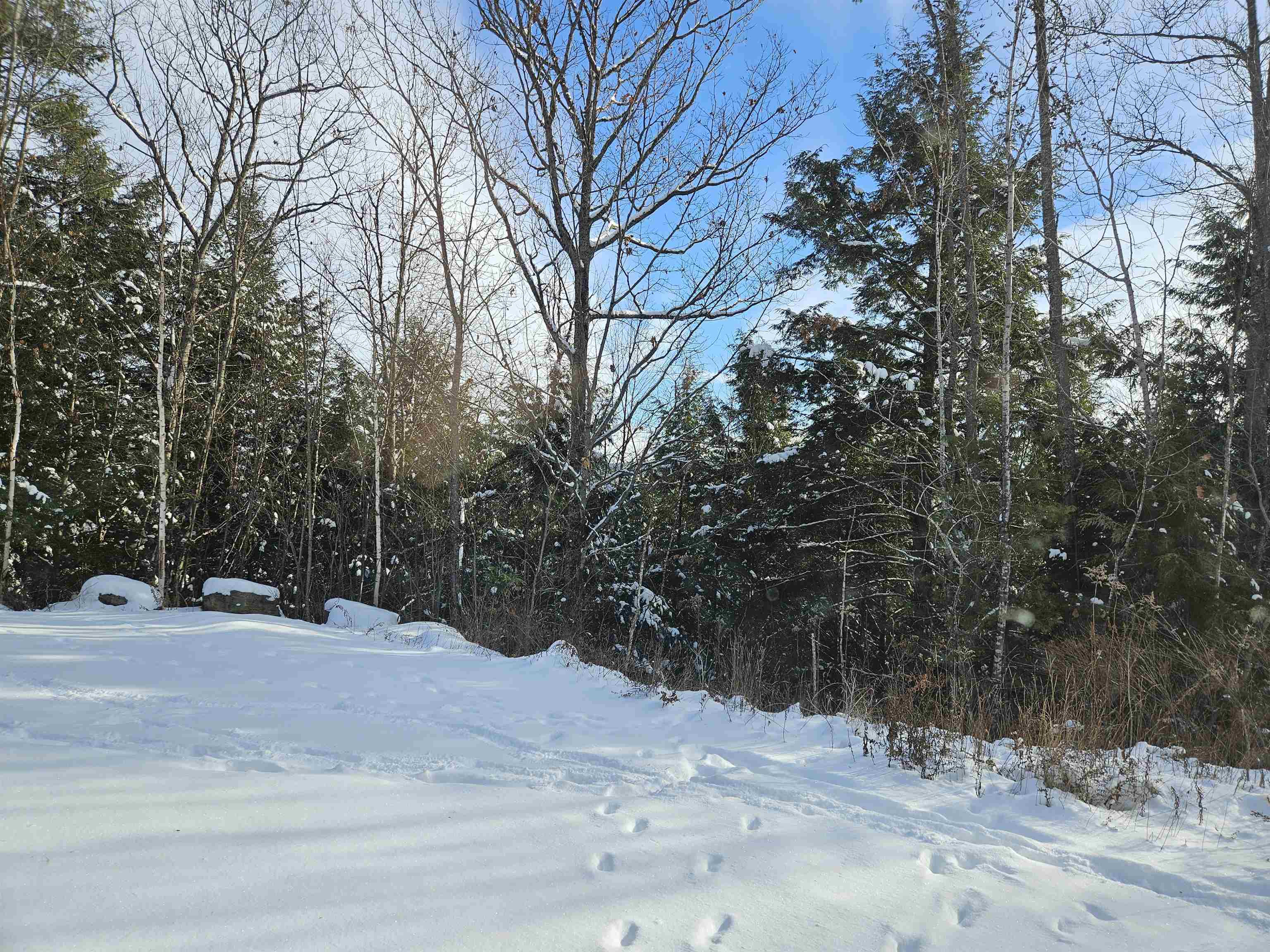 Lot 3.3 Off Parker Road