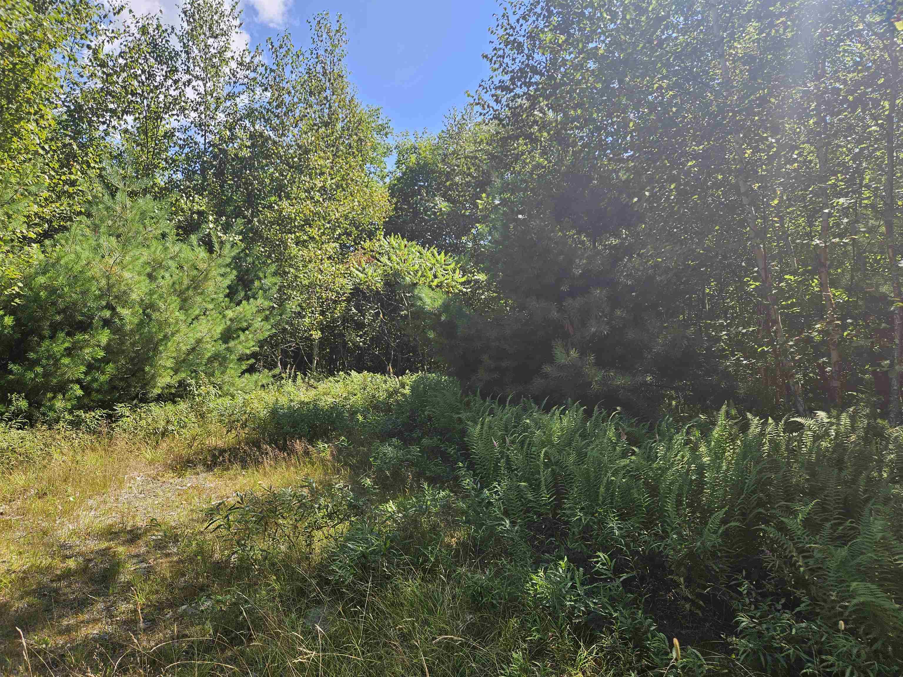 Lot 3.3 Off Parker Road