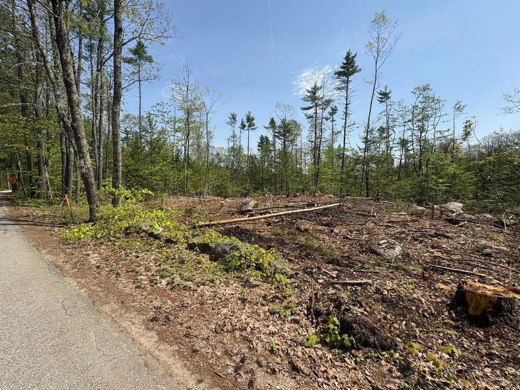 Photo of 194 Wilton Road, Mason, NH 03048 (MLS # 5089580)