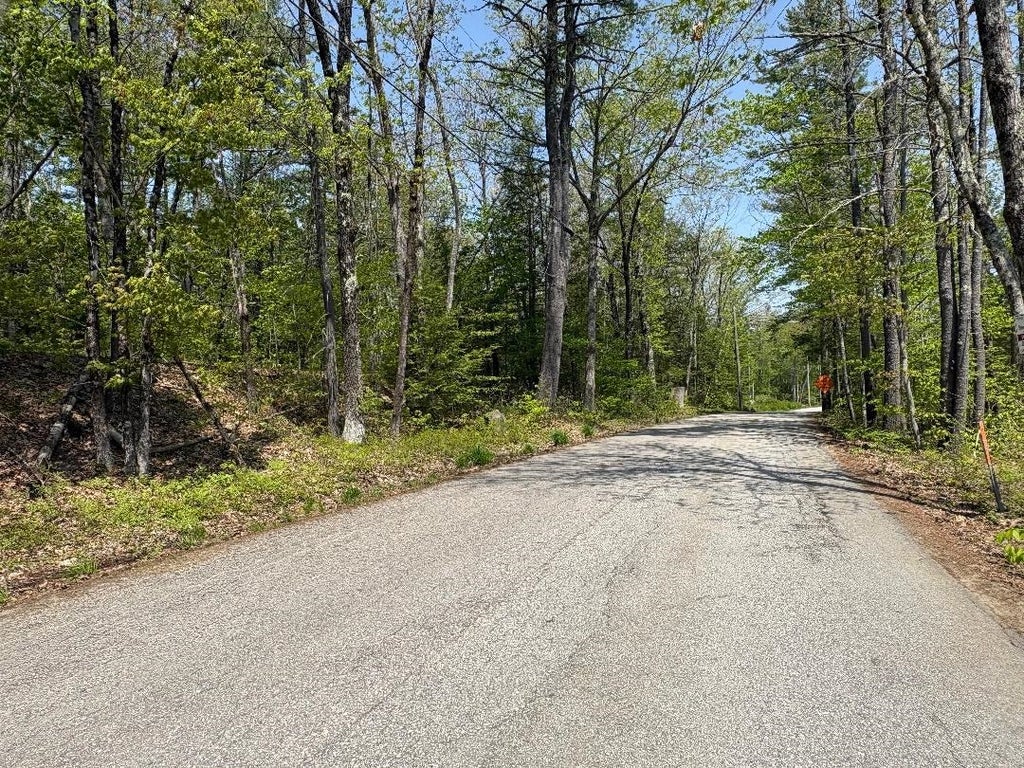 Photo of 194 Wilton Road, Mason, NH 03048 (MLS # 5089580)