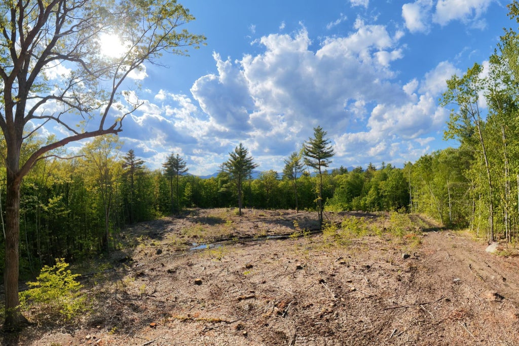 Photo of 00 Taterboro Road, Sandwich, NH 03227 (MLS # 5091831)