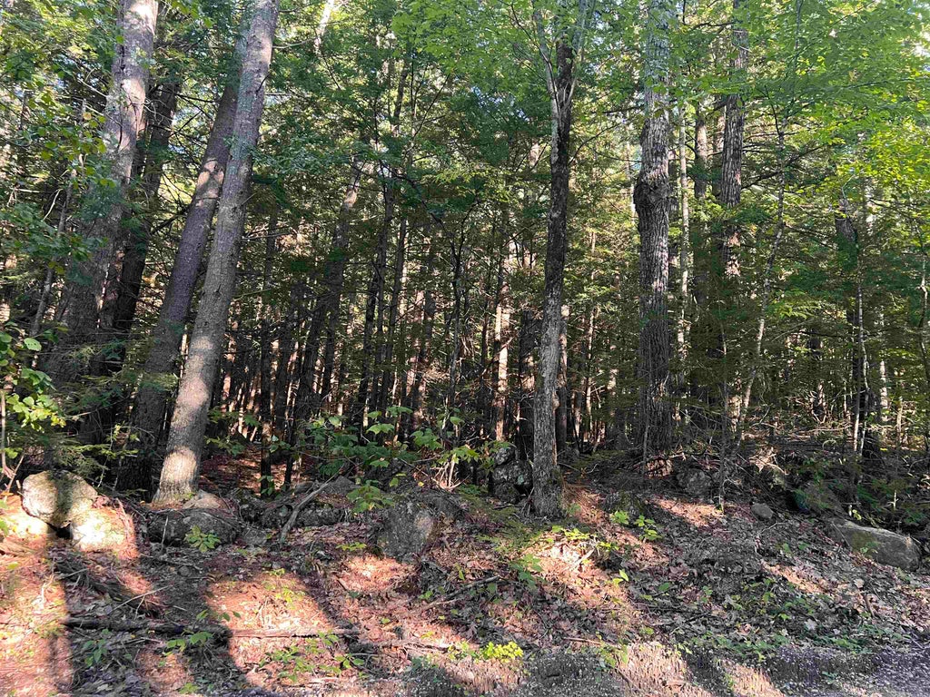 Photo of 000 Bog Road, Hillsborough, NH 03244 (MLS # 5109268)