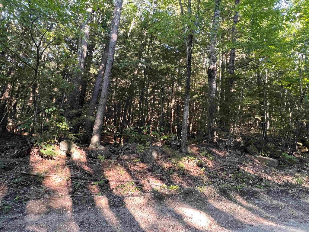 Photo of 000 Bog Road, Hillsborough, NH 03244 (MLS # 5109268)