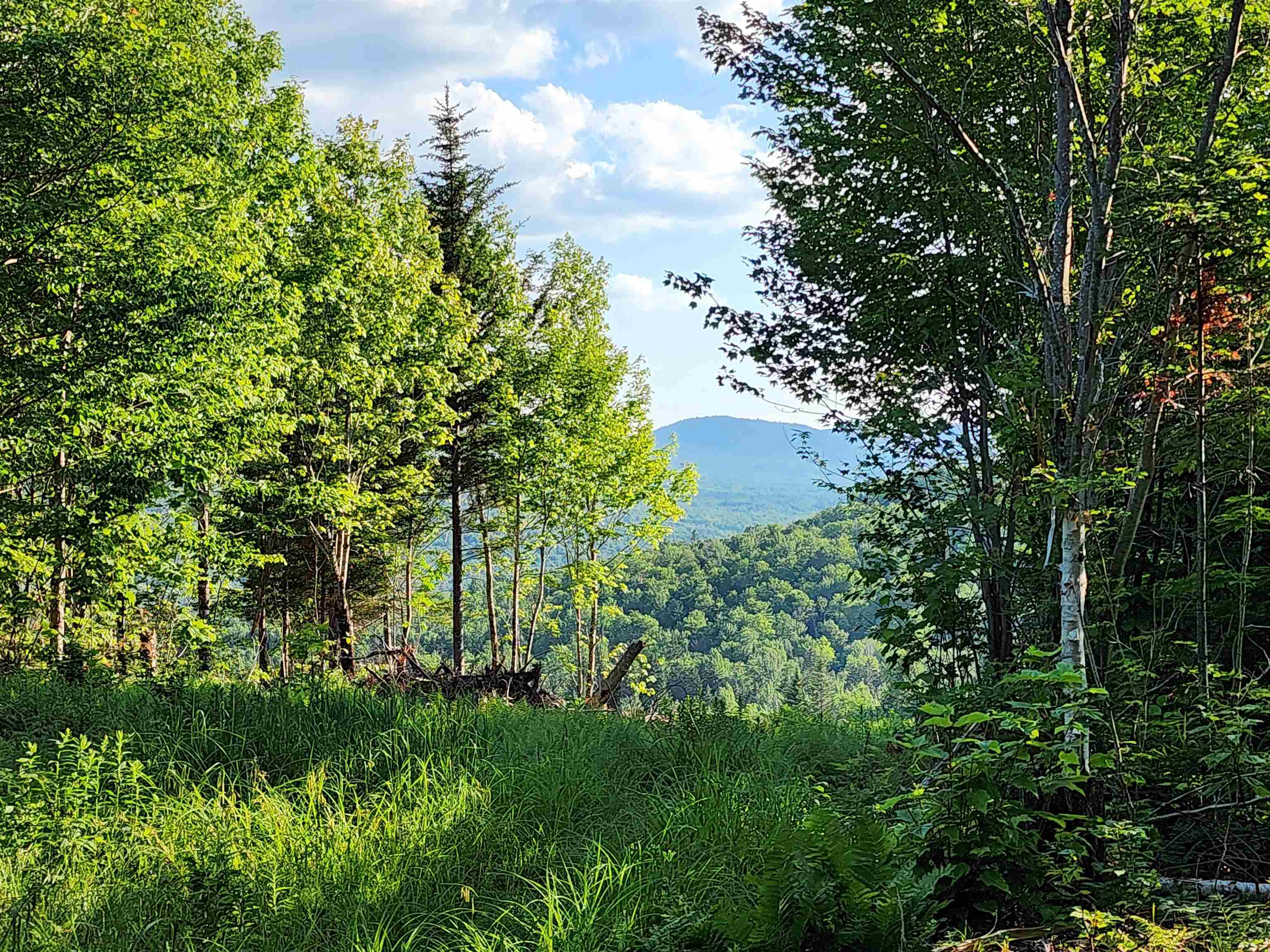 Lot 13 Ginnie Lane