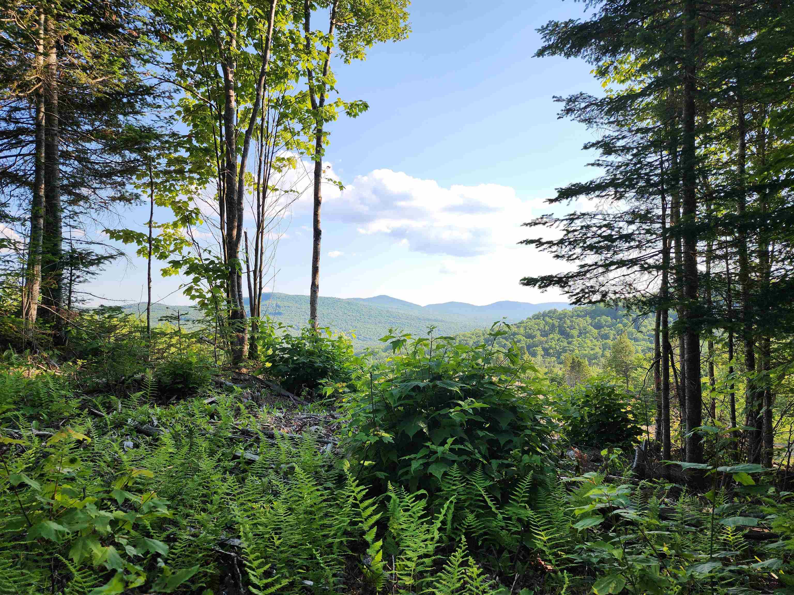 Lot 13 Ginnie Lane