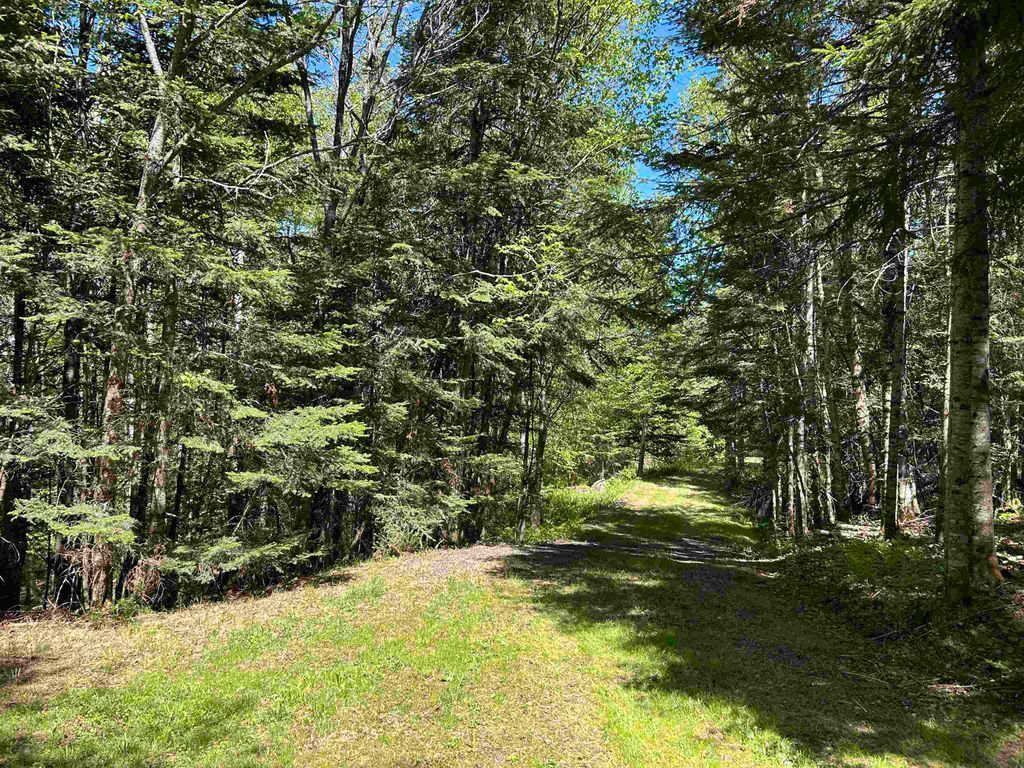 Photo of 242 Noyes Road, Stewartstown, NH 03576 (MLS # 5073071)