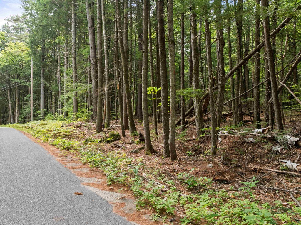 Photo of 30 Forest Pond Road, New Hampton, NH 03256 (MLS # 5107570)
