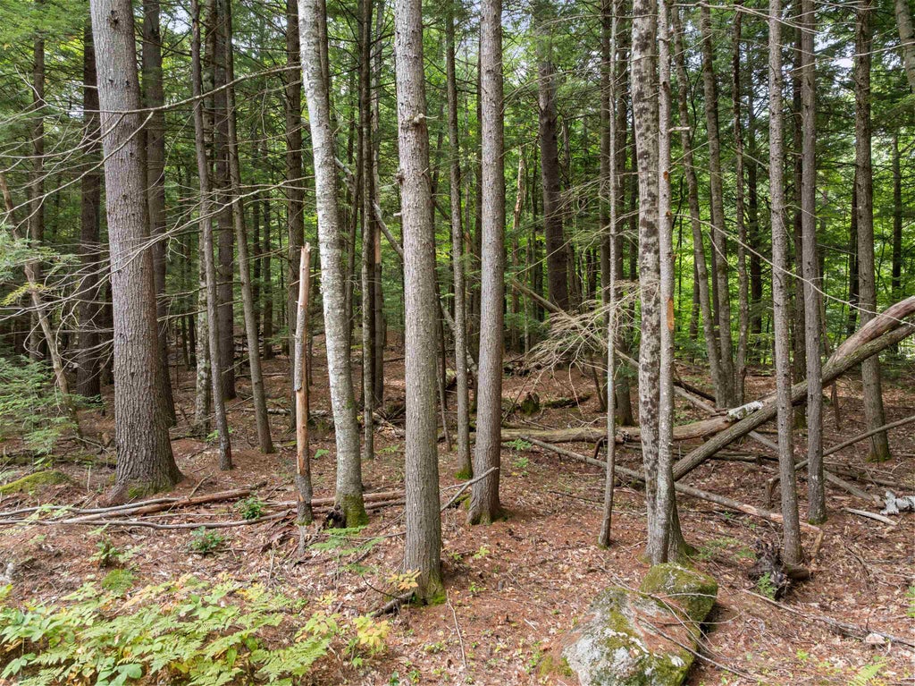 Photo of 30 Forest Pond Road, New Hampton, NH 03256 (MLS # 5107570)