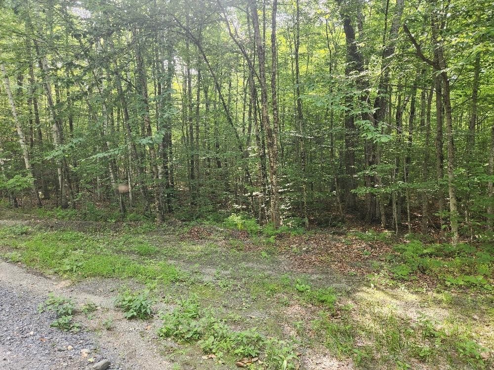 Photo of 0 Beechwood Drive, Cornish, NH 03745 (MLS # 5100878)