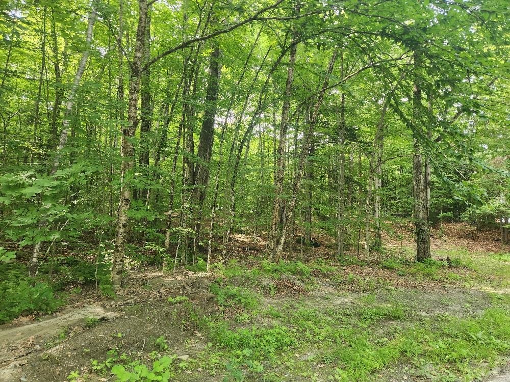 0 Beechwood Drive