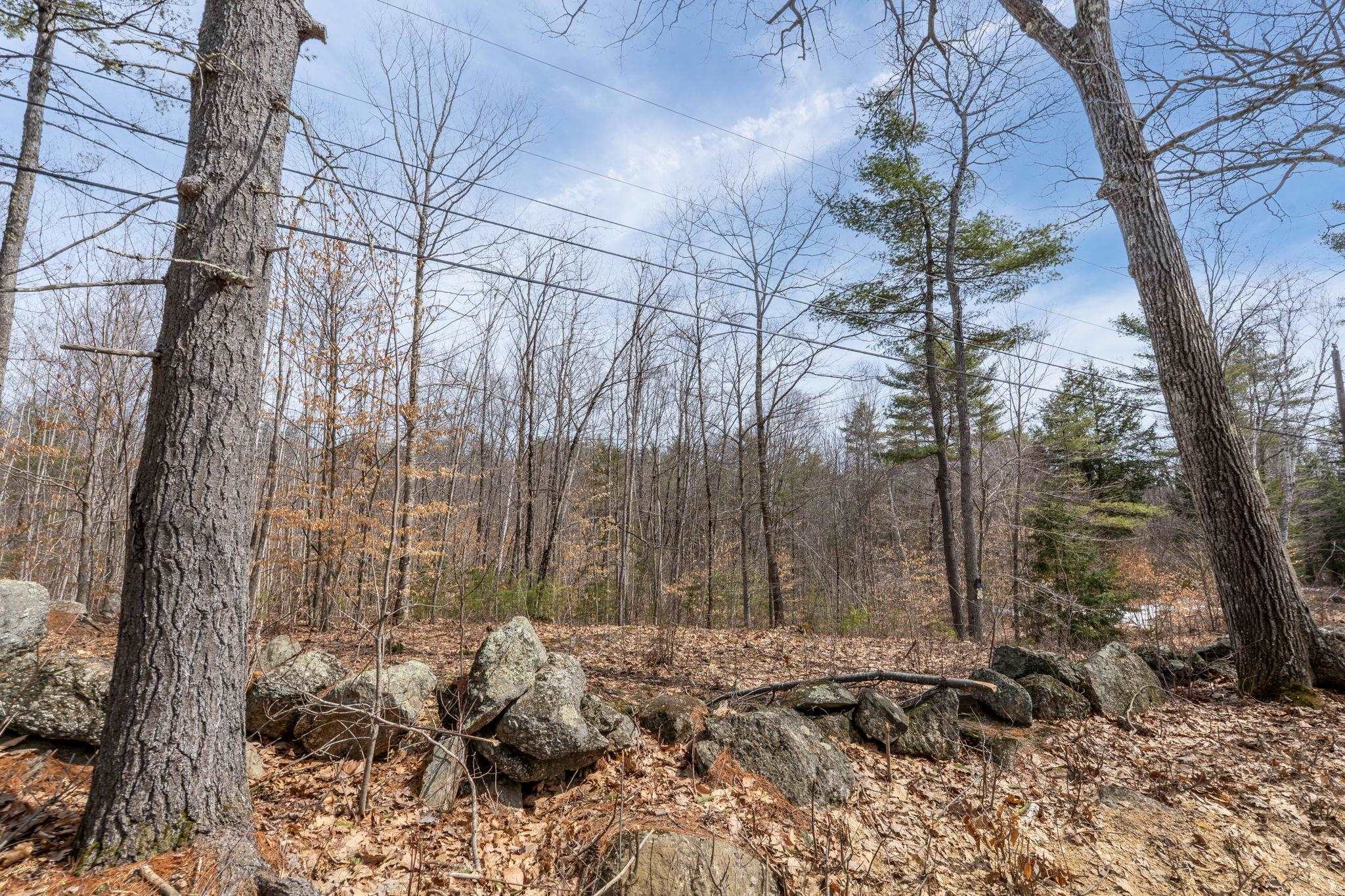 00 Roxbury Road Lot 1