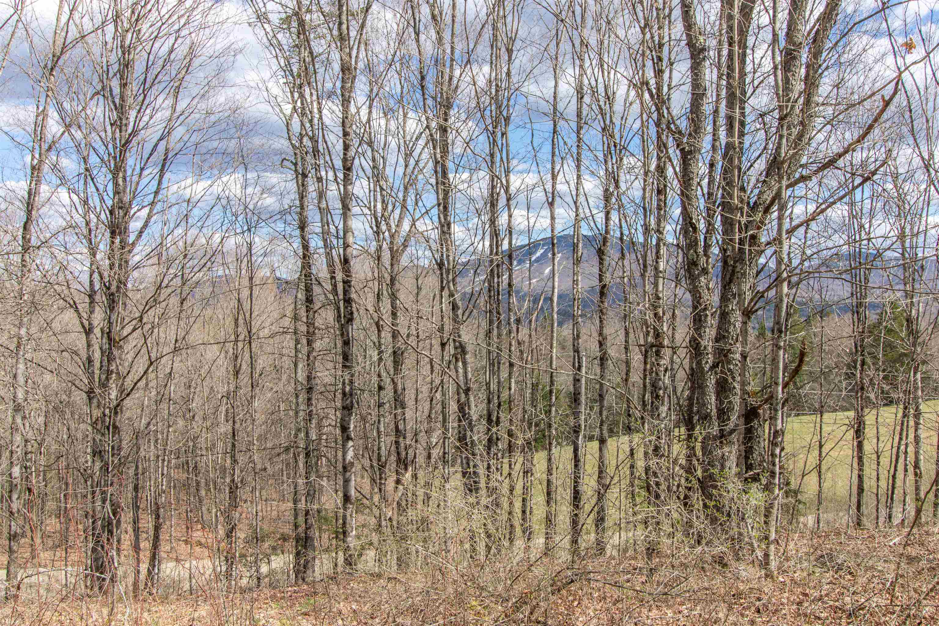 00 Darling Hill Road