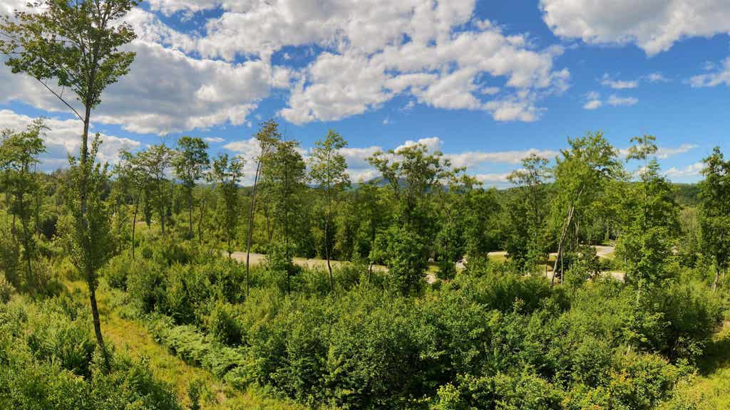 Photo of 6 Whipples Way, Tamworth, NH 03817 (MLS # 5101801)