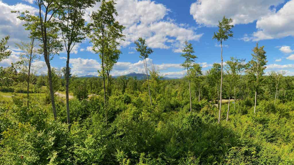 Photo of 6 Whipples Way, Tamworth, NH 03817 (MLS # 5101801)