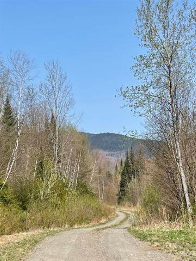 Simms Stream Road