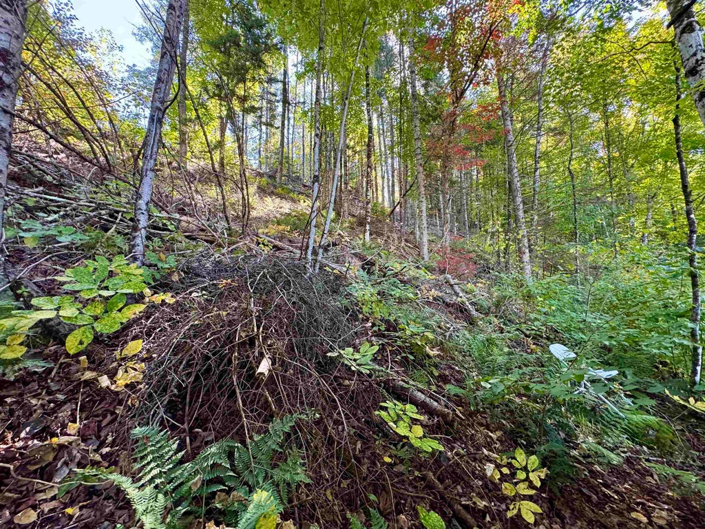 Photo of 24 Marsh Road, Columbia, NH 03590 (MLS # 5111222)