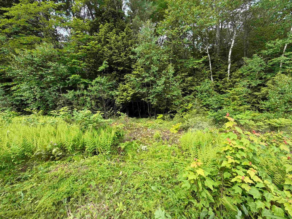 Photo of Mountain View Drive, Thornton, NH 03223 (MLS # 5094666)