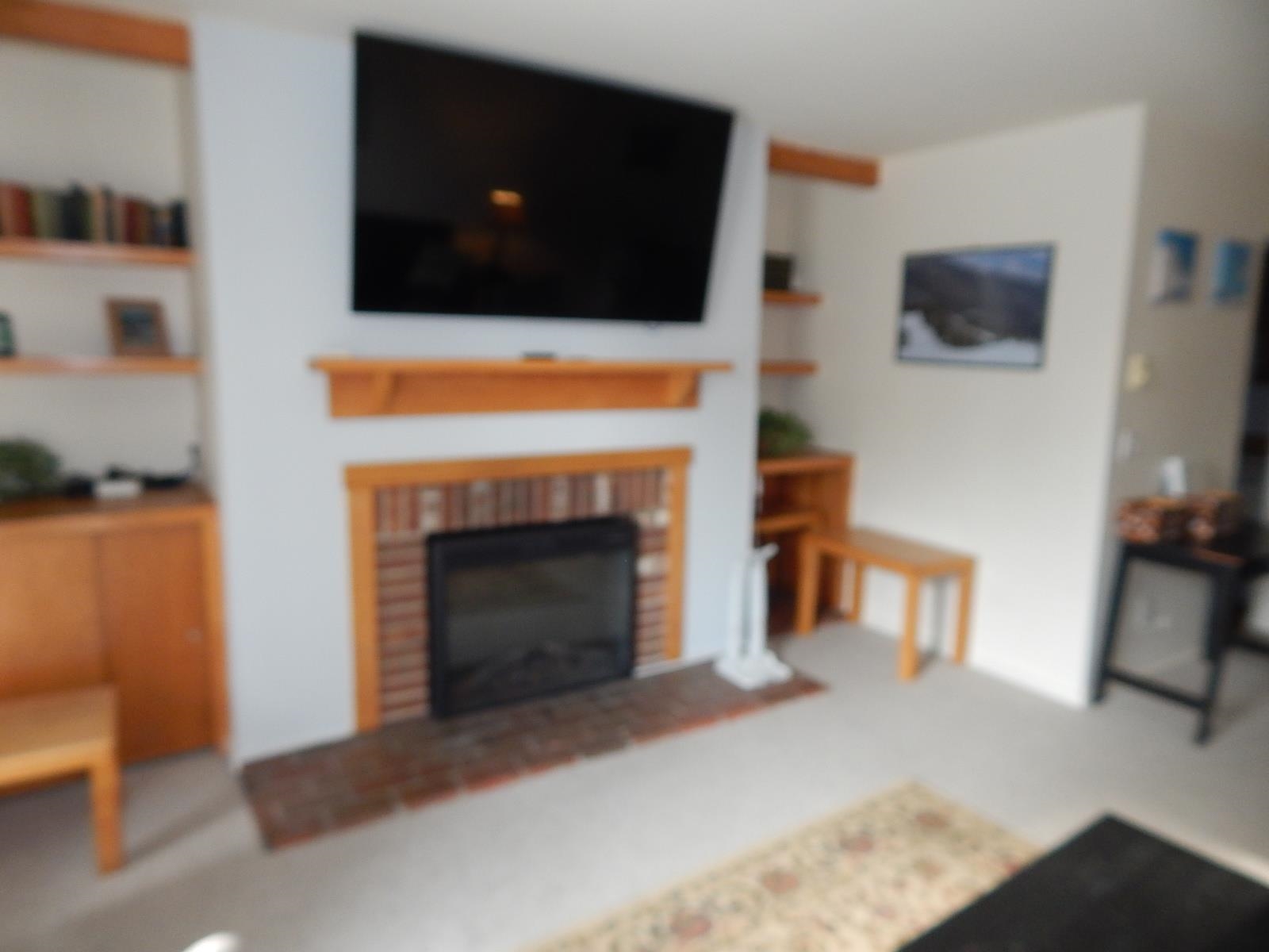 161 Mountainside Drive 15 - Photo 3