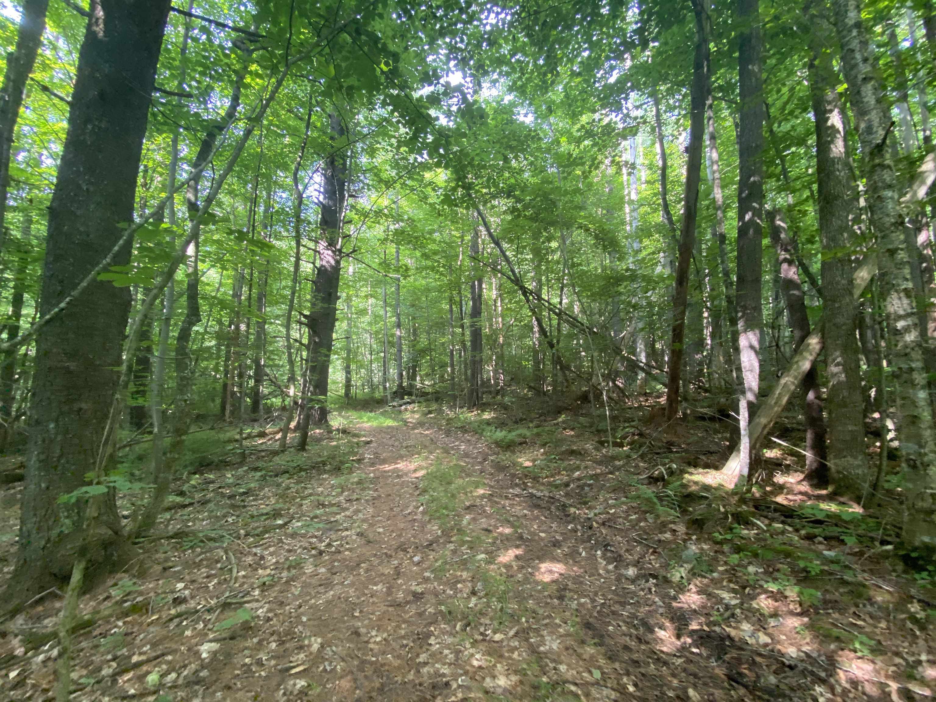 0 Sherman Lane