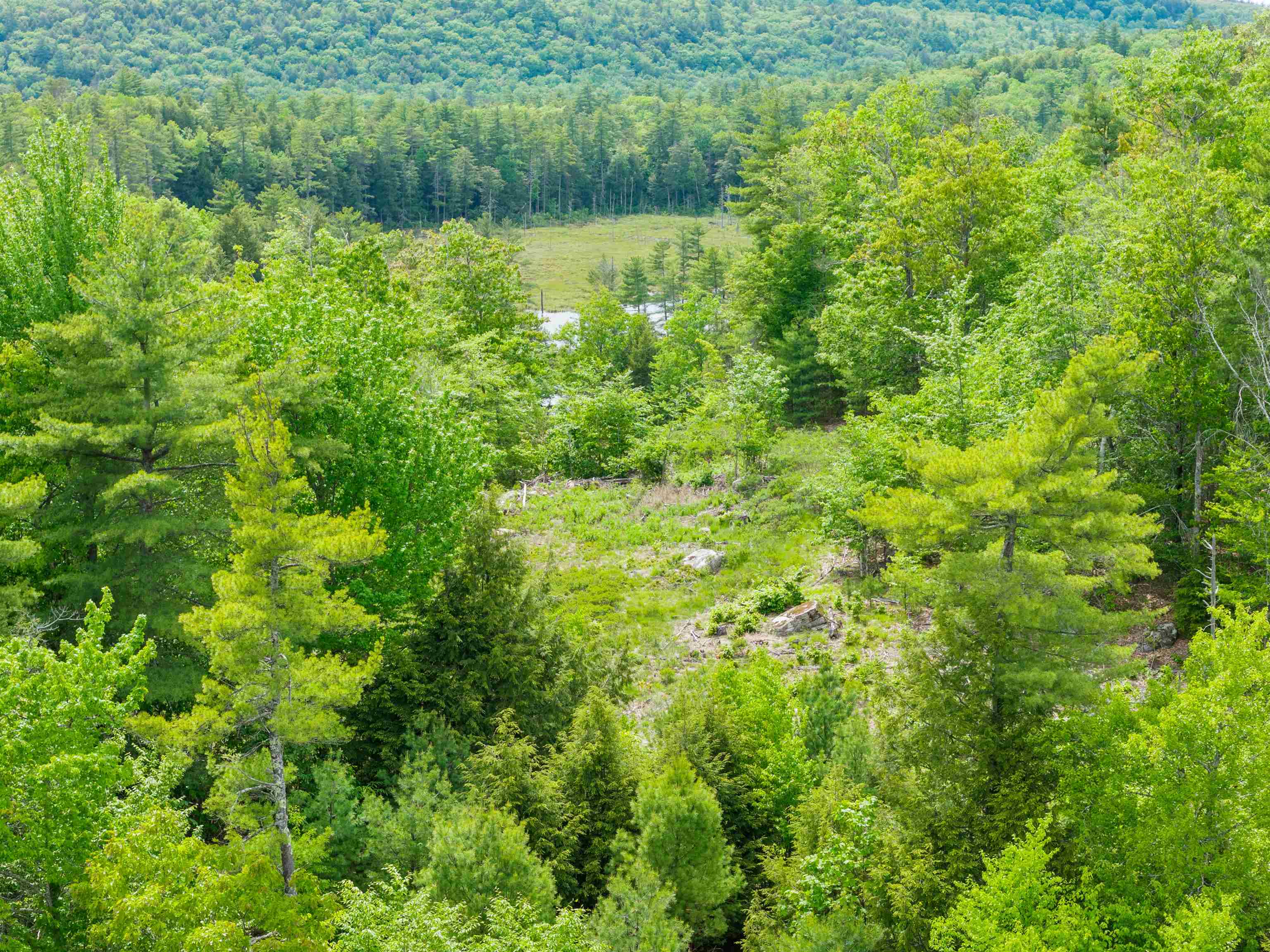 00 Pine Point Road