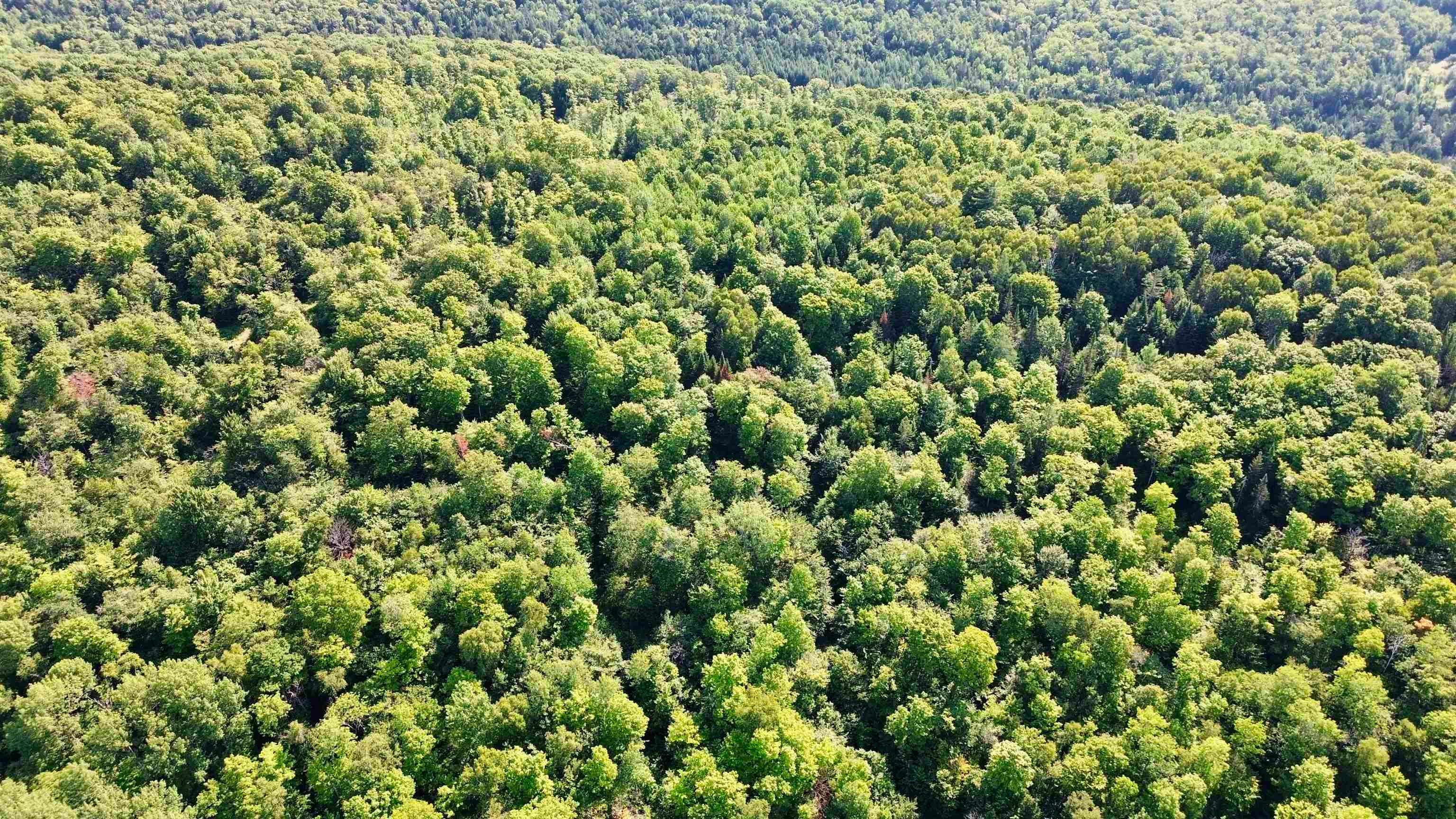 000 Old Man Mountain Road Lot # 6 (on Plan of Land for ADM Properties Inc)