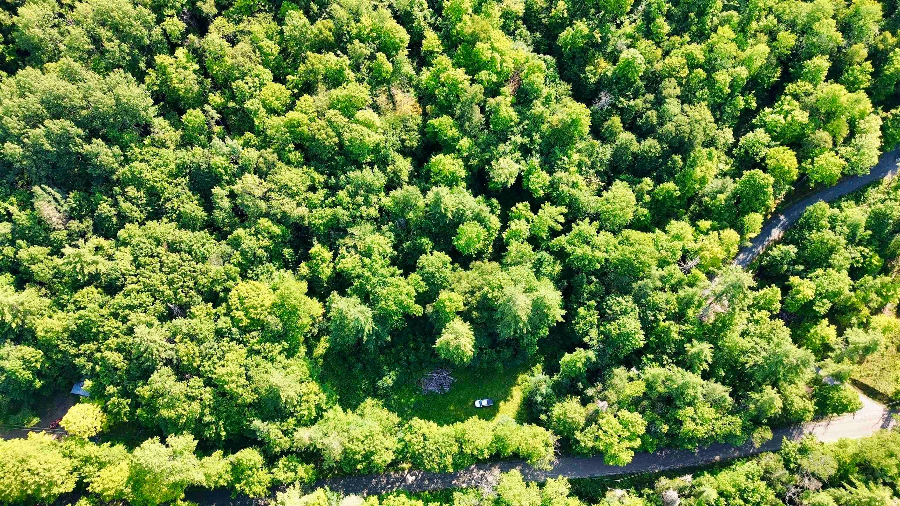 000 Old Man Mountain Road Lot # 6 (on Plan of Land for ADM Properties Inc)