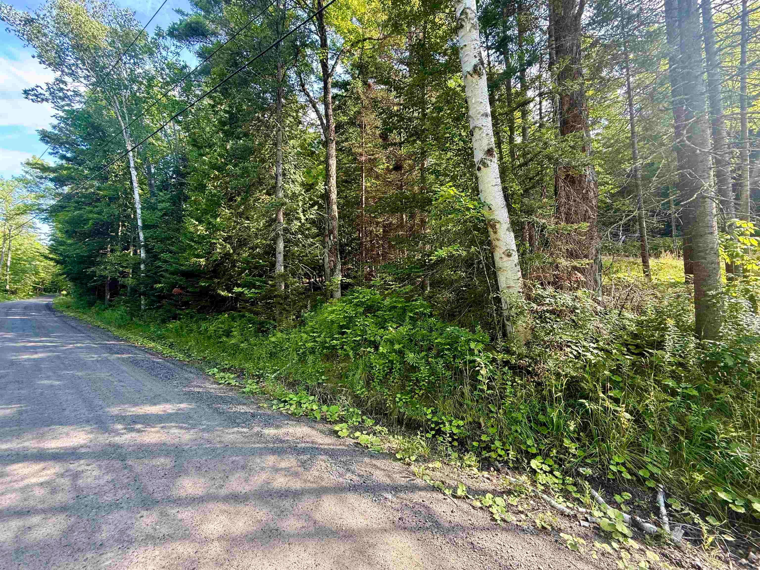 000 Old Man Mountain Road Lot # 6 (on Plan of Land for ADM Properties Inc)