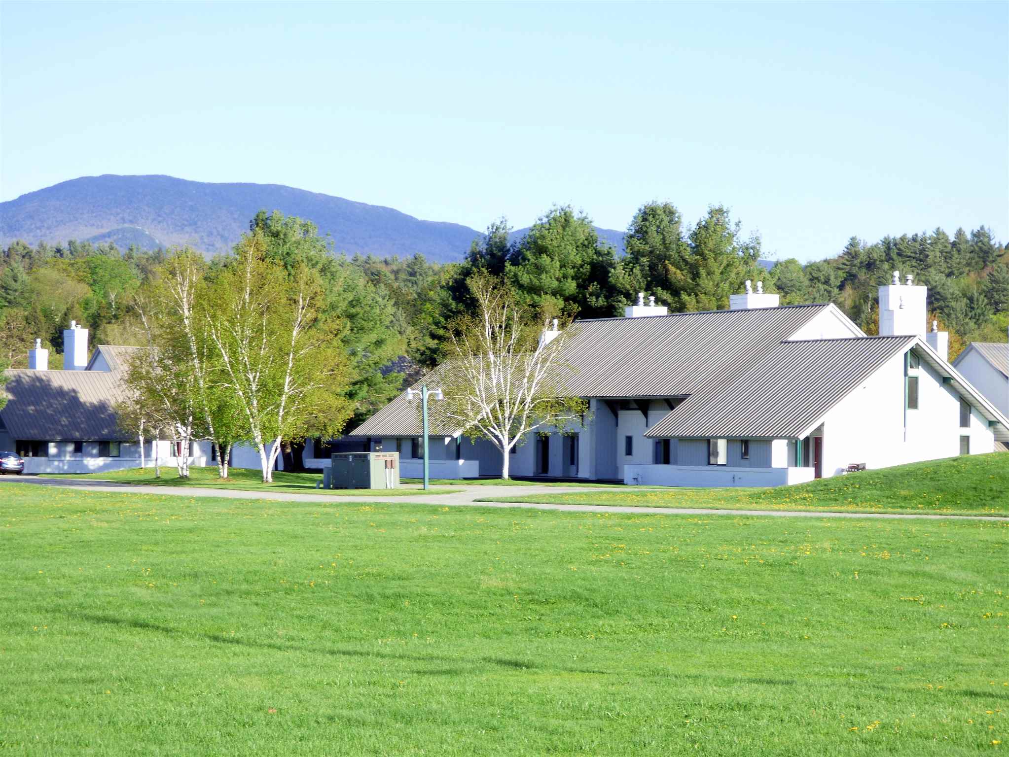 261 Village Green Drive 10E - Photo 3