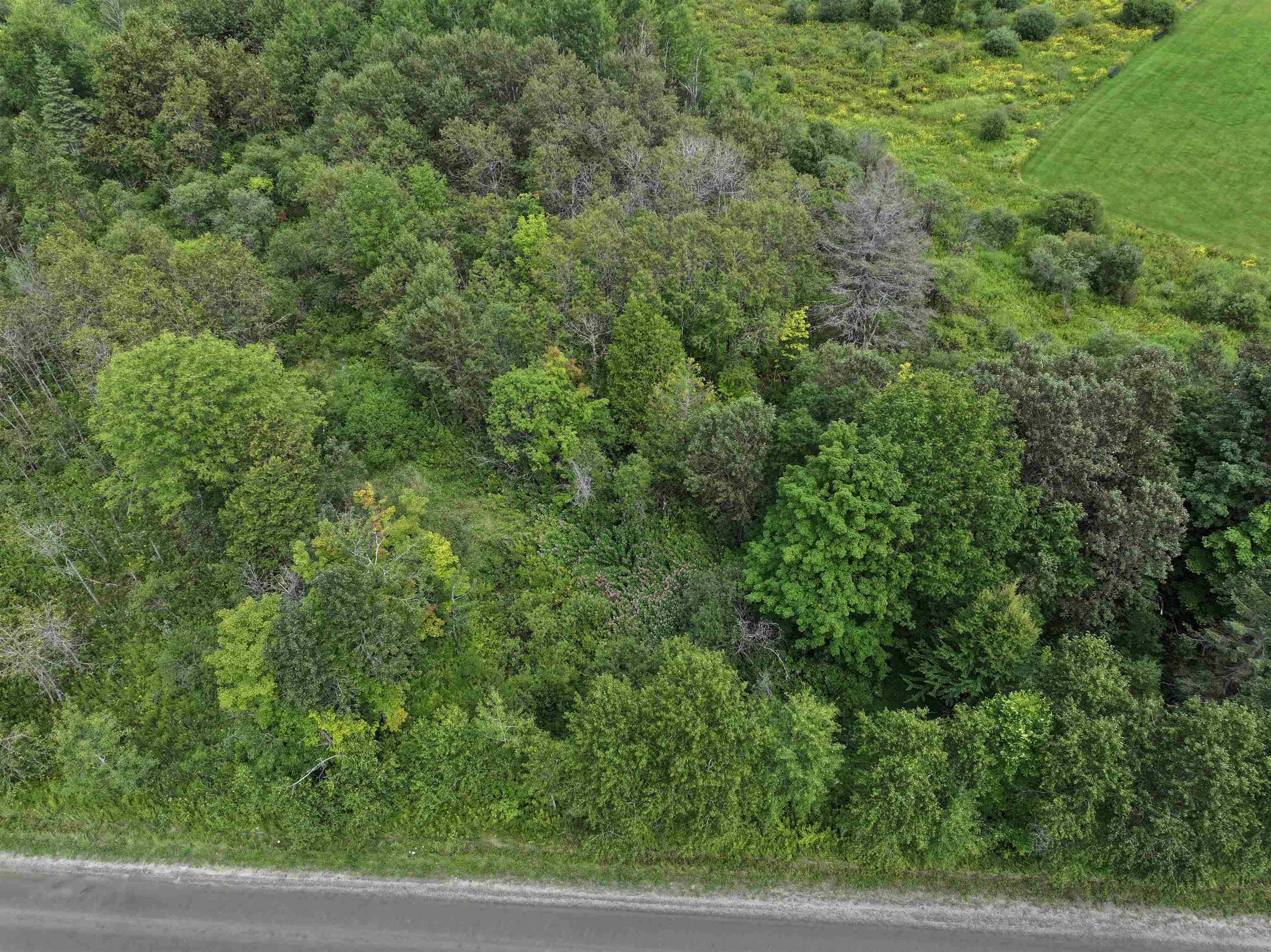 50 Lake Shore Road