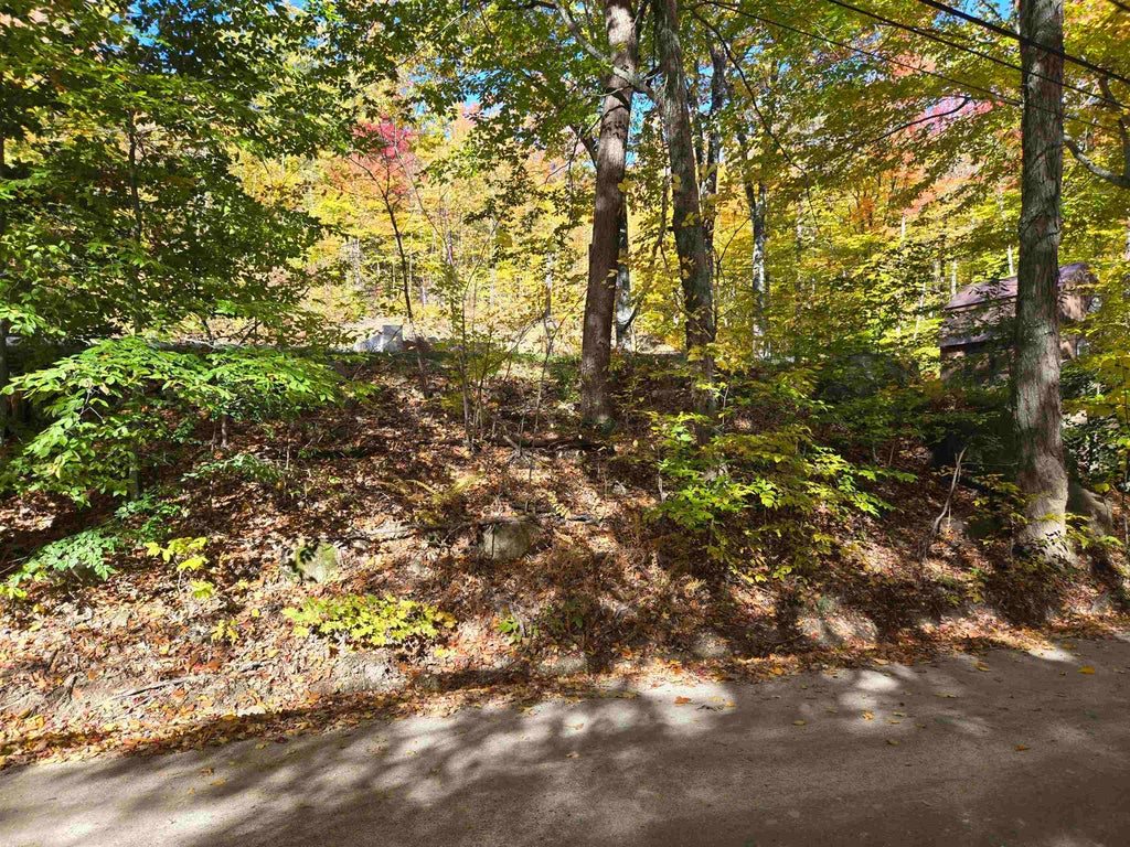 Photo of 1336 Washburn Road, Alexandria, NH 03222 (MLS # 5094931)
