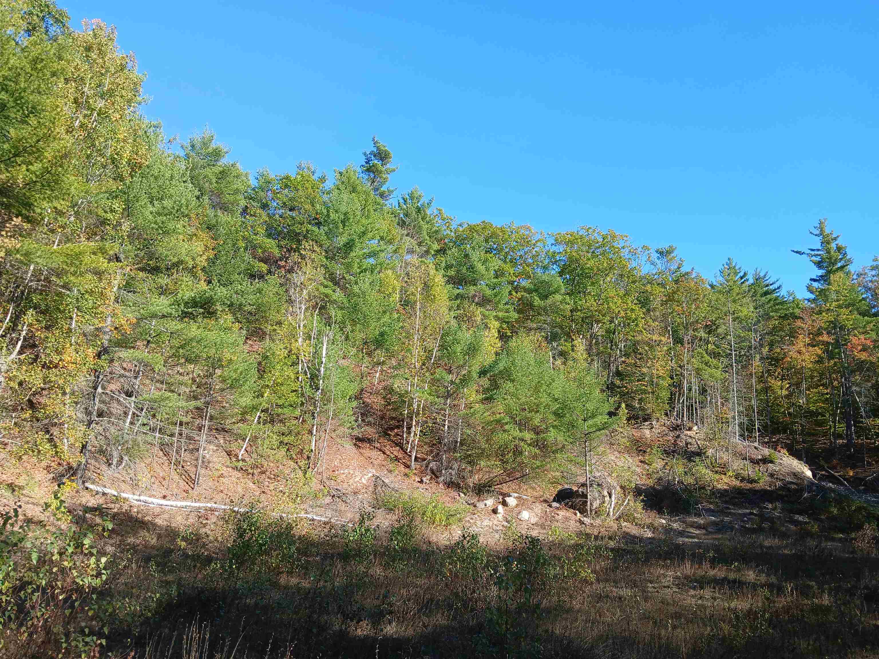 Lot 34 Kings Highway