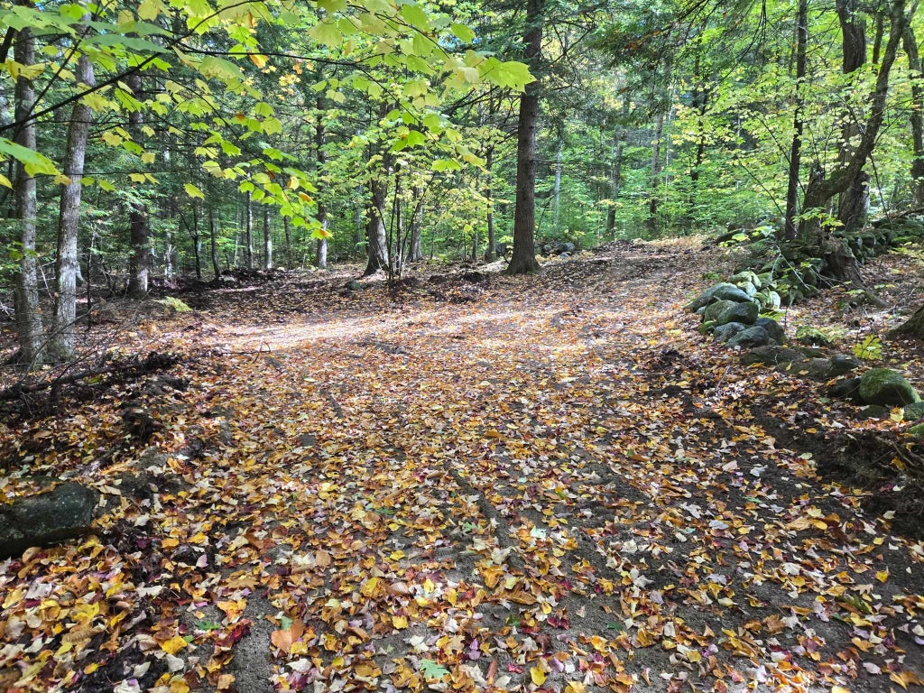 Photo of 13 Beach Pond Road, Wolfeboro, NH 03894 (MLS # 5092400)