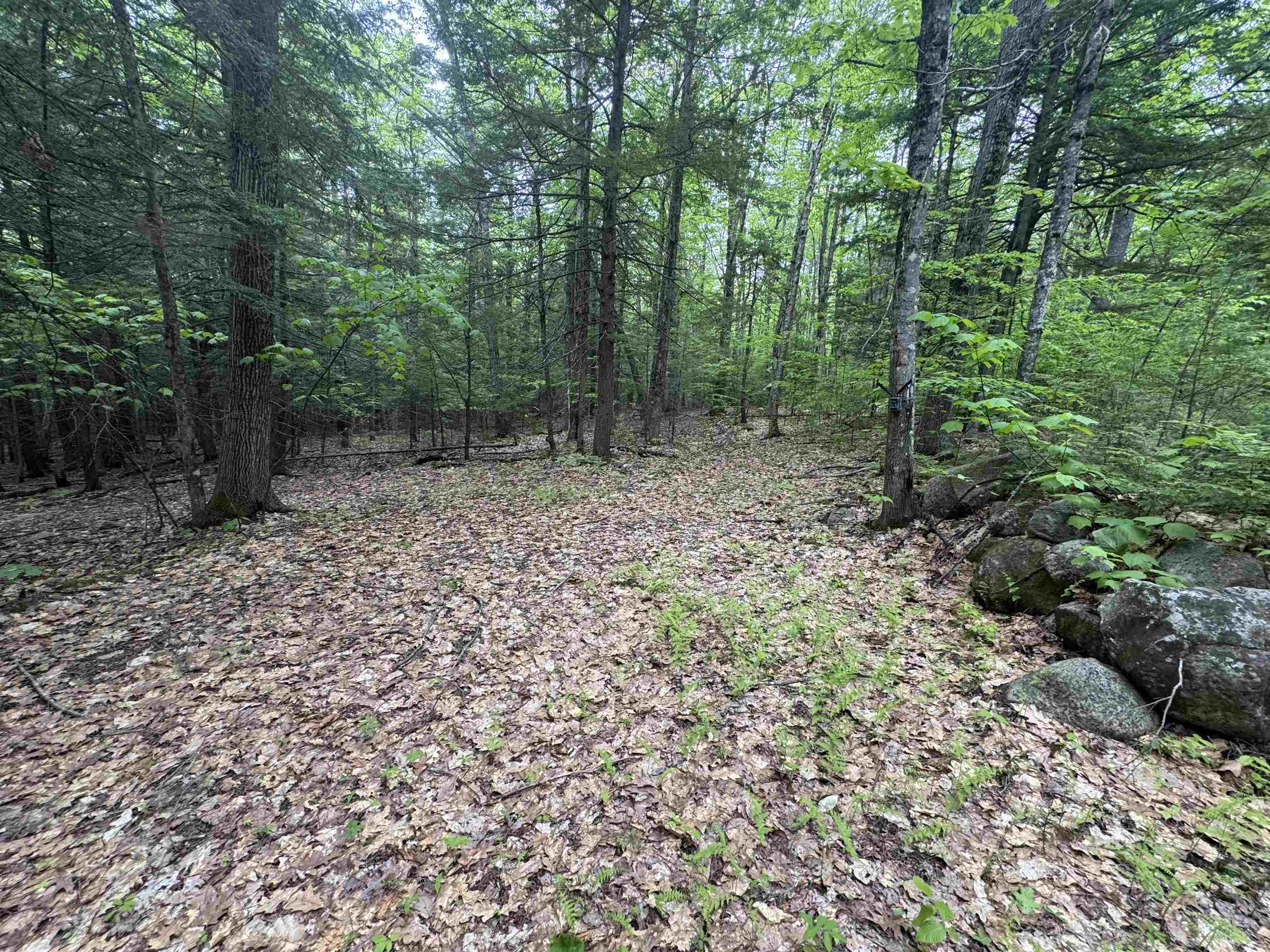 Lot 13 Beach Pond Road
