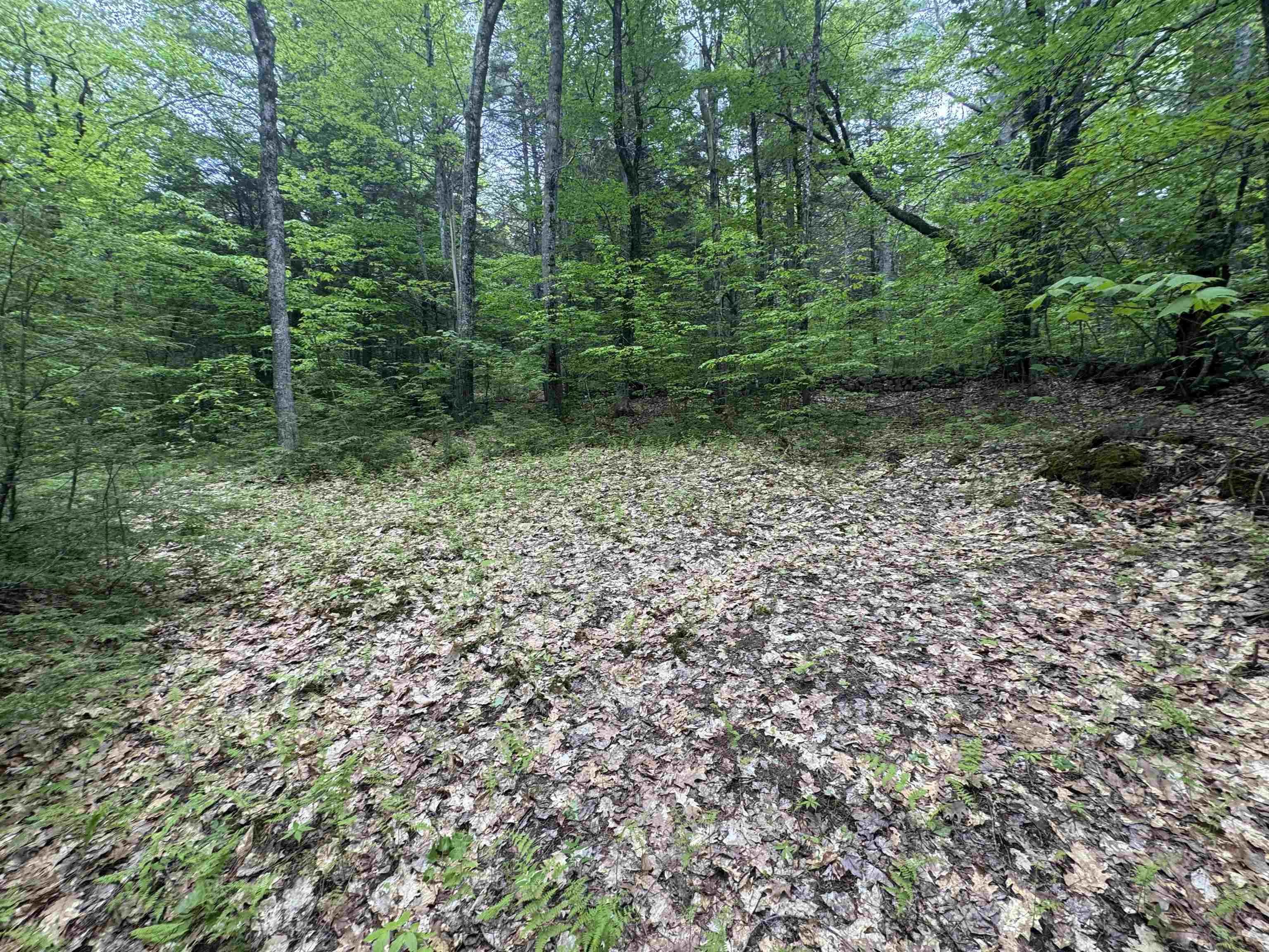 Lot 13 Beach Pond Road